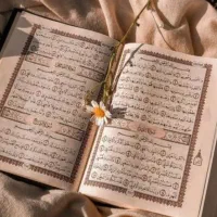 دعا نویسی سید موسوی