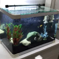 آکواریوم شرکتی شیشه خم با لوازم و ماهی|ماهی|قم, حنیف نژاد|دیوار