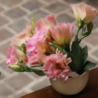 راهنمایی میخوام