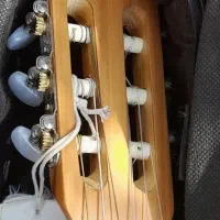 گیتار کلاسیک دالاهو|گیتار، بیس، امپلیفایر|شادگان, |دیوار