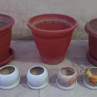 گلدان پلاستیکی و سفالی