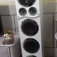 یک جفت باند مکرولب