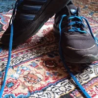 کفش پسرانه|کیف، کفش، کمربند|سبزوار, جهاد کشاورزی|دیوار