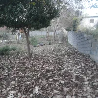 مازندران سوادکوه|فروش زمین و ملک کلنگی|آلاشت, |دیوار