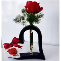 گلدان‌های دکوری متنوع و زیبا|صنایع دستی و سایر لوازم تزئینی|اصفهان, قهجاورستان|دیوار