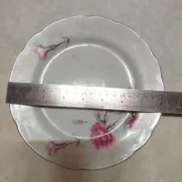 فروش گل میخک اصلی