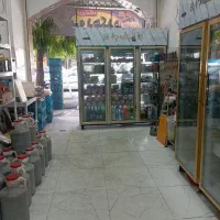 فروش یخچال و فریزر و قفسه|فروشگاه و مغازه|شاهین دژ, |دیوار