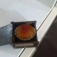 طالع بینی|خدمات پذیرایی، مراسم|بندر ماهشهر, |دیوار