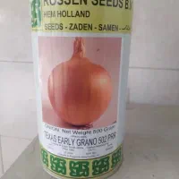 بذر پیاز روزنسید آزمایش شده