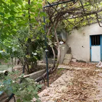 خ جزایری/380متر زمین /70متر سازه قدمت دار|فروش زمین و ملک کلنگی|محمدشهر, محمدشهر|دیوار