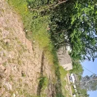 زمین مسکونی به متراژ۱۰۰متر .|فروش زمین و ملک کلنگی|رشت, کوی یخ|دیوار