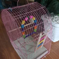 قفس|لوازم جانبی حیوانات|همدان, |دیوار