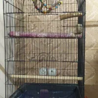 قفس پرنده|لوازم جانبی حیوانات|تهران, افسریه جنوبی|دیوار