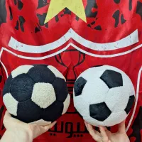 فروش توپ پارچه ی مخصوص آپارتمان