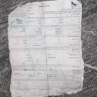 موتور سیکلت 150|موتورسیکلت|بشاریات, |دیوار