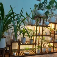 دوعدد استند با تمام گلها