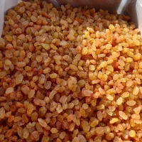 خدمات شستشو و بسته بندی انواع کشمش|ماشین‌آلات صنعتی|بناب, |دیوار