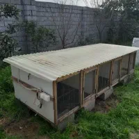 قفس نگهداری جوجه غاز مرغ اردک و بلدرچین و..|لوازم جانبی حیوانات|ایزدشهر, |دیوار