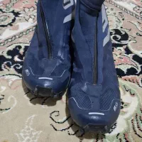 سالامون فرانسوی