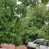 فروش خونه باغ بهترین منطقه خوش آب وهوا