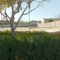 فروش-فوری-زمین-مسکونی-موقعیت-جنوب-جم