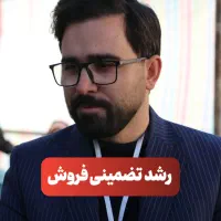 مشاور کسب و کار / توسعه کسب و کار