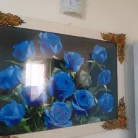 قاب عکس|تابلو، نقاشی، عکس|گلبهار, شهر جدید گلبهار|دیوار