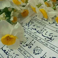 فروش خط تلفن ثابت رند رند