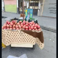 گاری یا داشقه میوه بادی محکم