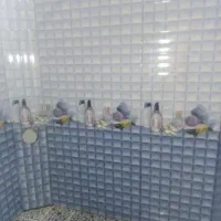 کاشی‌کاری وسرامیک کاری|خدمات پیشه و مهارت|زابل, |دیوار