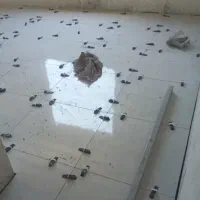 سیمانکاری و کاشیکاری با اکیپ مجرب