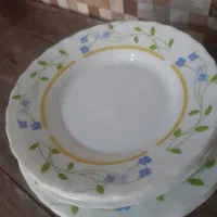 ارکوپال اصل امارات و ظروف پدیرایی|ظروف سرو و پذیرایی|کرج, ساسانی (قلمستان)|دیوار