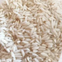 برنج درجه یک علی کاظمی