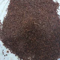 کشمش درجه 1|خوردنی و آشامیدنی|کرمانشاه, |دیوار