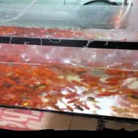 آکواریوم بزرگ