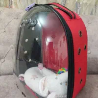 کوله پشتی حمل حیوانات