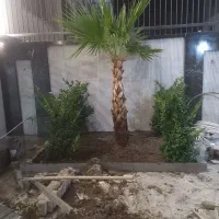 خدمات باغبانی از صفر تا صد در تمام نقاط اصفهان|خدمات باغبانی و درختکاری|اصفهان, پارک سلمان فارسی|دیوار