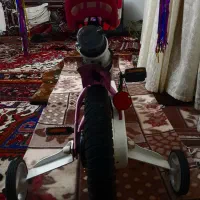 درحدنونو دیسکدار ژاپنی 12قناری باسند فروشگاهی|دوچرخه، اسکیت، اسکوتر|تبریز, |دیوار