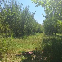 فروش باغ ویلا|فروش زمین و ملک کلنگی|فیروزکوه, |دیوار