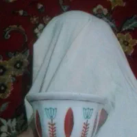 ظروف