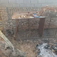 قفس پرنده