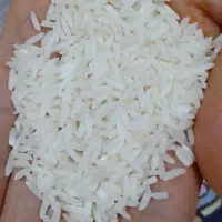 برنج هاشمی در جه یک اعلا