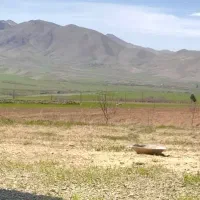 زمین-کشاورزی-دارای-طرح-هادی