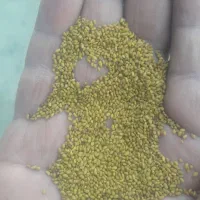 بذر یونجه بوجاری و اصلاح شده