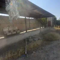 سبد ضایعاتی و کارتن موز نگهداری مشارکتی با آسیاب