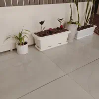 خدماتی ، نظافت ، کارگر