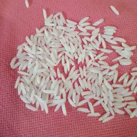 برنج هاشمی سورتینگ ۱