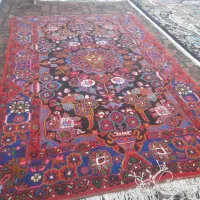 قالی در نهاوند