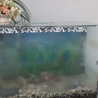 اکوارریم با میز