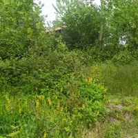 زمین کاربری مسکونی210متری/نزدیک مرکزشهر/آسیا نوین|فروش زمین و ملک کلنگی|رودسر, |دیوار